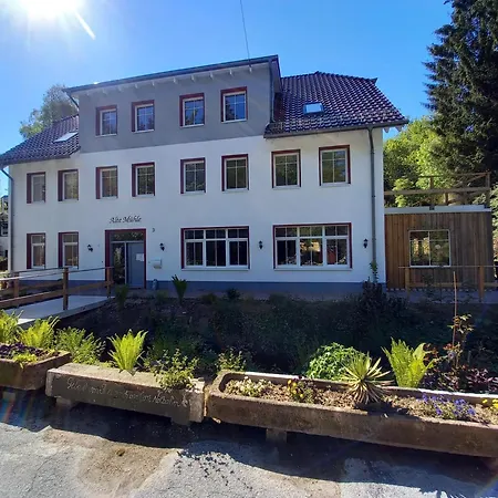 Alte Mühle 3*